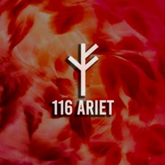 Forsvarlig Podcast Series 116 - Ariet