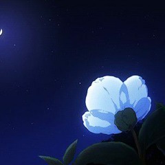 It ain't me (Sadewo. lofi remix ft. Chloe Adams)