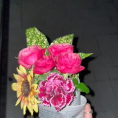 Ok!Vibes don't lie!(VIBES DON'T LIE- Leon Thomas × Ok! - ハシリコミーズ)