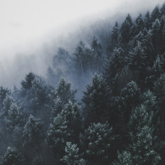 Gero Pellizzon - Winter Is Coming :)