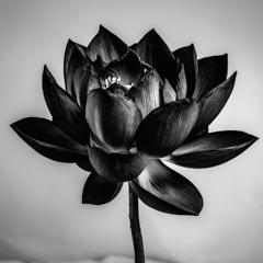 Victoire pour l'Ukraine - Перемога для України