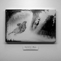 Hudson Lee & Frequent - Flock Call (House Edit)
