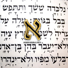 HB-INFO DC 1 - 41m4w-x8a8m