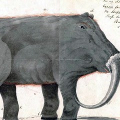 Kerrrr's Exploration #35: Mouthparts + lefav