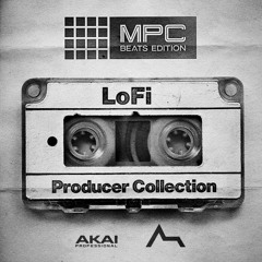 ADSR LoFi Producer Collection Audio Demo