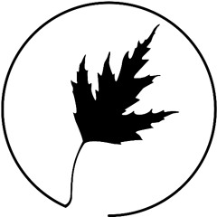 Frans Björk - Kära Syster 2025