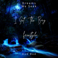 I get the bag (Freestyle)