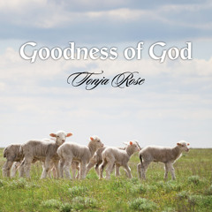 Goodness of God (Acoustic Version) [feat. Chuck Rose]
