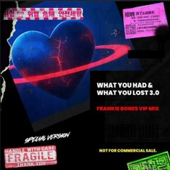 WHAT YOU HAD & WHAT YOU LOST / FRANKIE BONES VIP MIX 3.0