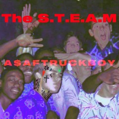 s.t.e.a.m