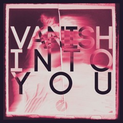 Vanish Into You (JERIKO Remix)