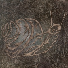 Third Scan - One Snail Too