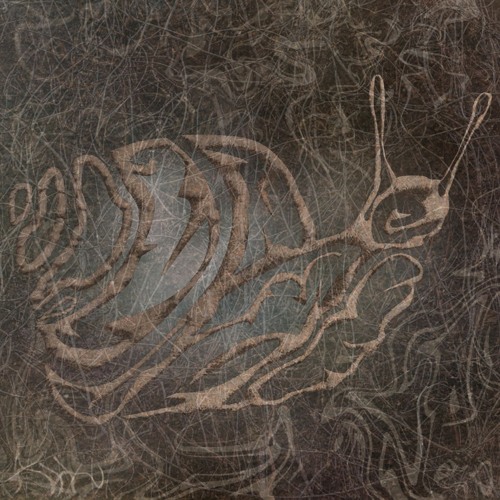 Third Scan - One Snail Too