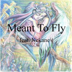 Meant To Fly