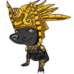 대구제일가는 쌍브렉 13년생 곽지우형 전용믹셋