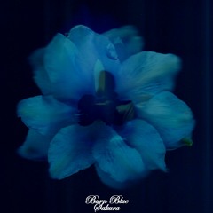 Burn Blue