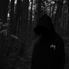 SuNDay - Minu-lost feat. dansn.