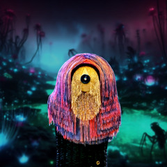 The Seer Friend