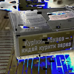 scvrlet flwrs