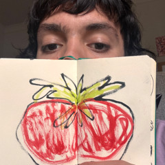 Plump Tomato