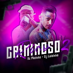 MC PKZINHO CRIMINOSO RICO 2 DJ LUIZINHO.mp3
