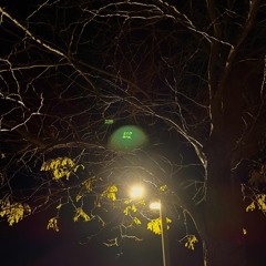 miscellaneous underground