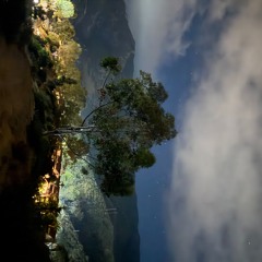 Memories of Avalon