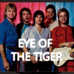 EYE OF THE TIGER  (GUI CEDRO - EDITMIX)