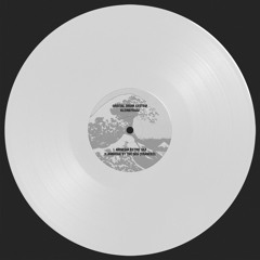 PREMIERE: Orbital Drum System, Kleinefrigo - Amnesia By The Sea (Tranced) [WITHINAGRAVE]