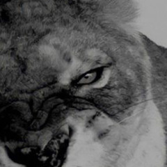 Fresh Out ft.888Scoop (Single Edition)