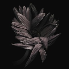 how could that be? (ft IG:@estellajoan)