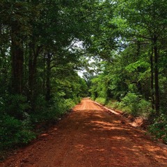 Walk On