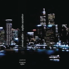 exquisite nights - city lights