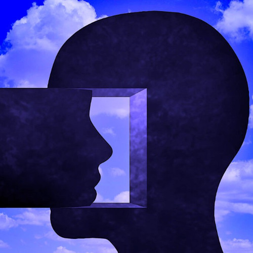INTROSPECTION