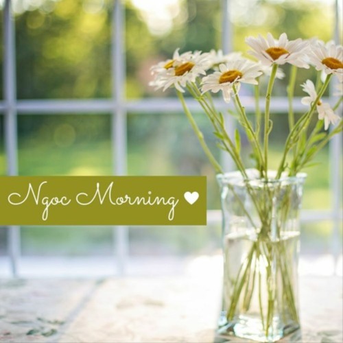 Lựa Chọn Thành Công Hay Hạnh Phúc? | Ngọc morning 🌿