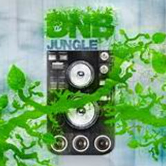 LIFE on WaX DICTATION 2025 DnB Jungle CALIBRE DSCI4 LOXY JKON 117 GREY MAN RICKY FORCE n more vision