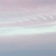 LORD KNOWS FREESTYLE