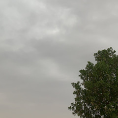 المشراف - كلمات عابر .. أداء الوليد ال عامر