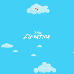 Elevation (Mixed By. Crasheezy)