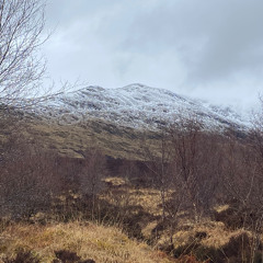 Ice Flows In B