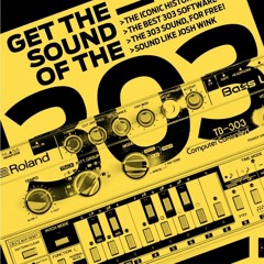 sound of the 303  /  acid