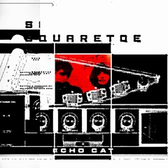 Echo Cat (Alt Mix)