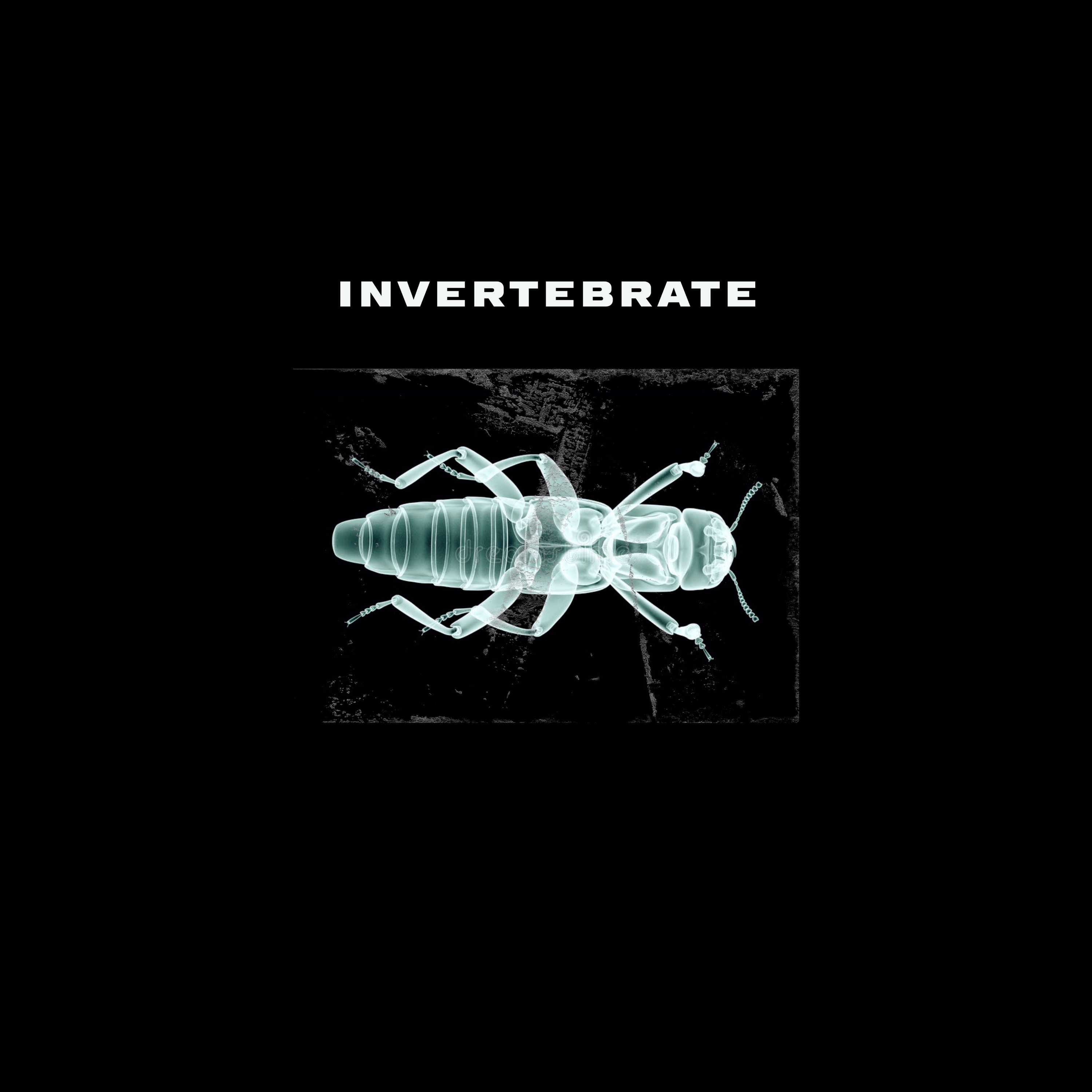 Invertebrate episode artwork