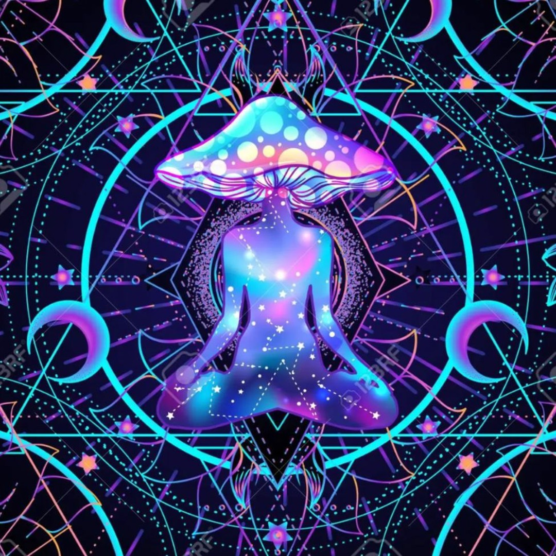 Stream EDM Evolution | Listen to Early Psychedelic Trance / Goa
