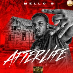 Afterlife