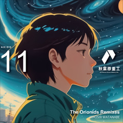 AHIDG11 - HIROSHI WATANABE - The Orionids Remixes (Update)