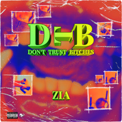 dtb (dont trust bitches)