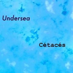 Cétacés. Undersea. ND