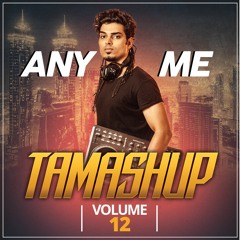 Tamashup Vol. 12 [10 Commercial Mashups & Edits]