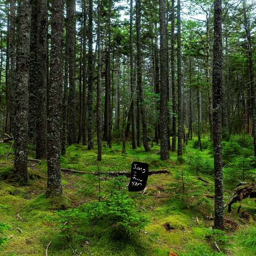 Song I found hiking at 4 am